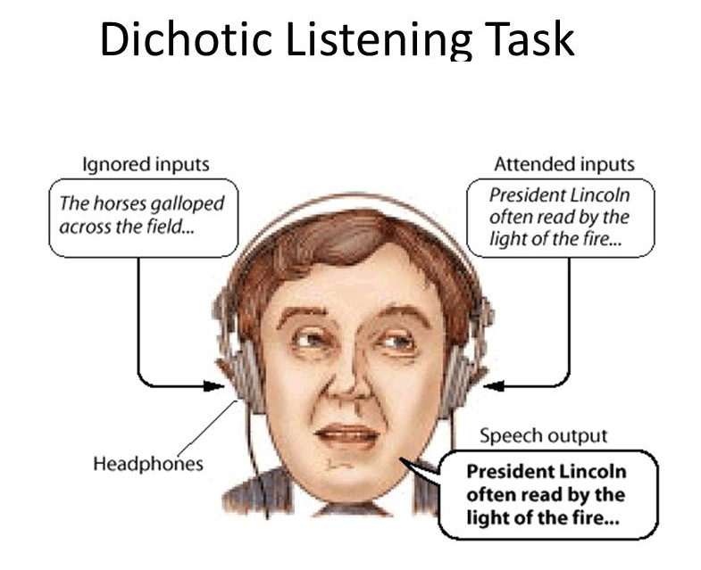 dichotic listening task