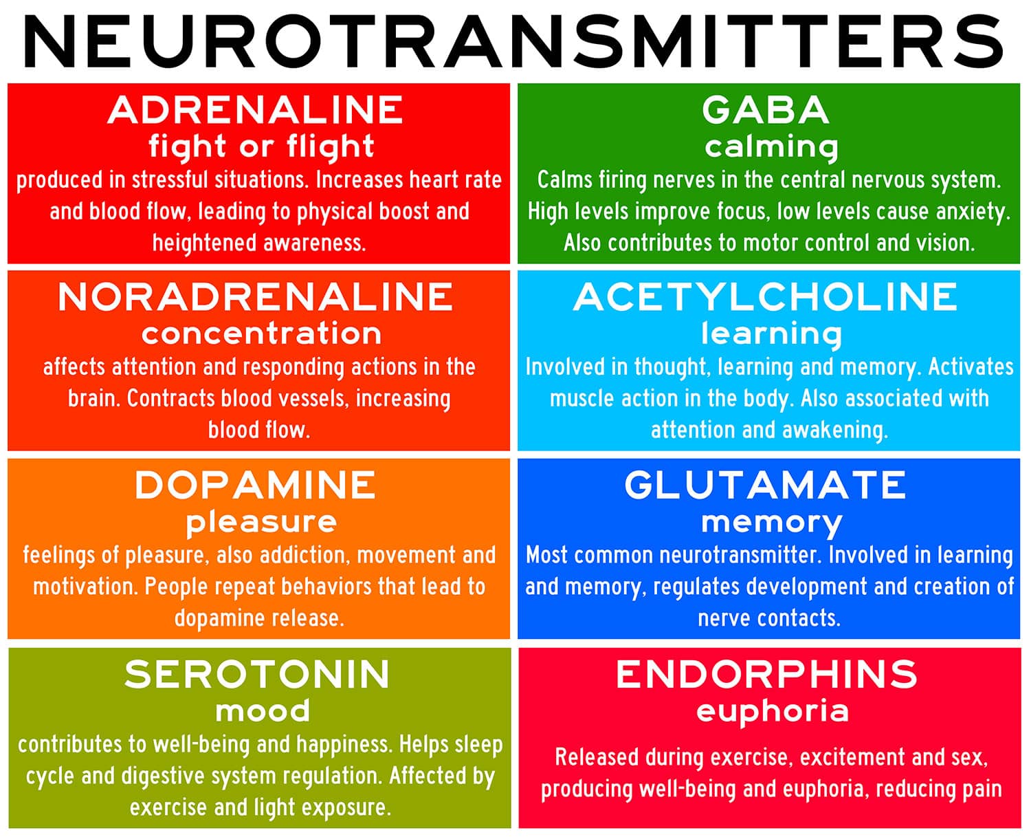 list of neurotransmitters and their functions