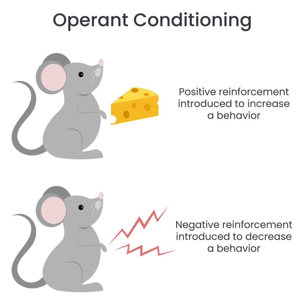 Operant Conditioning Reinforcement 1