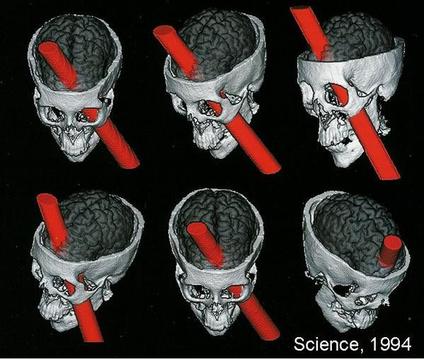 Phineas Gage brain image from Damasio et al. (1994) 