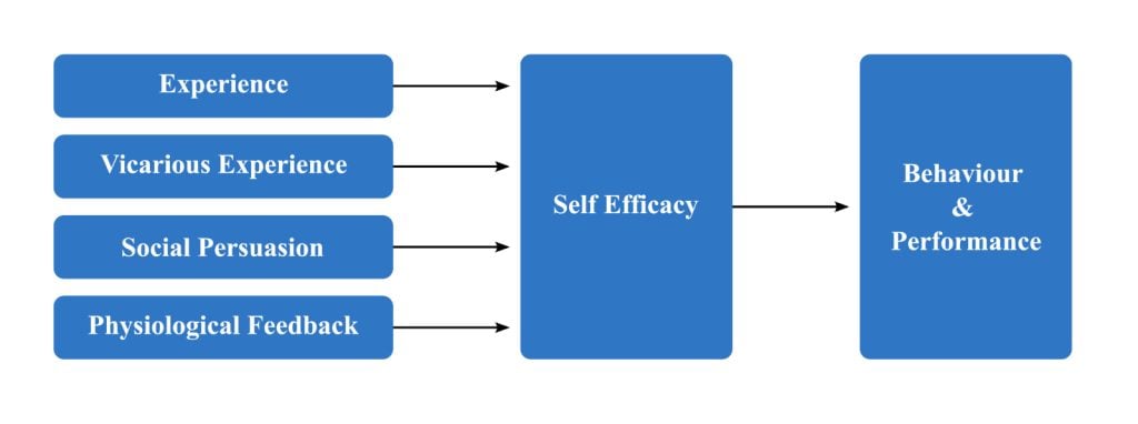 Self Efficacy 1