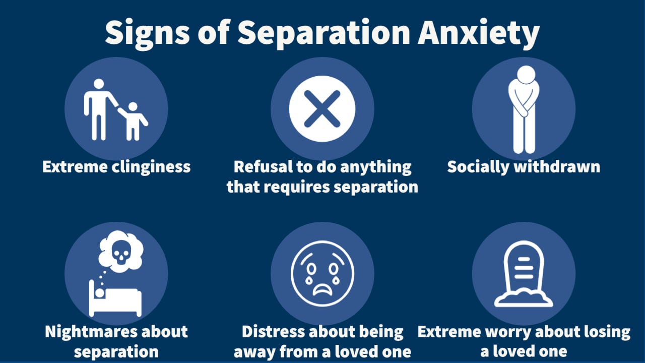 some of the key signs of separation anxiety