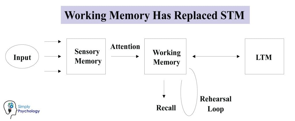 Working Memory 1