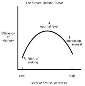 Yerkes Dodson Curve