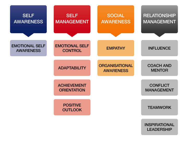 Emotional and Social Intelligence Leadership Competencies 